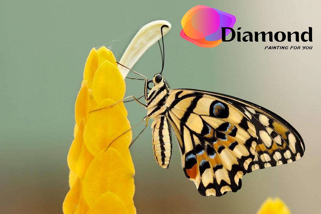 Diamond Painting Gele vlinder gele bloem Watermerk met Ronde steentjes 100x70cm - Beste Kwaliteit