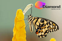 Thumbnail for Diamond Painting Gele vlinder gele bloem Watermerk met Ronde steentjes 100x70cm - Beste Kwaliteit