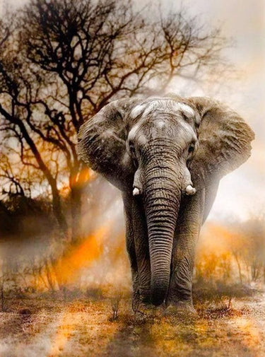 Diamond Painting Olifant in zonlicht met Ronde steentjes 100x80cm - Beste Kwaliteit