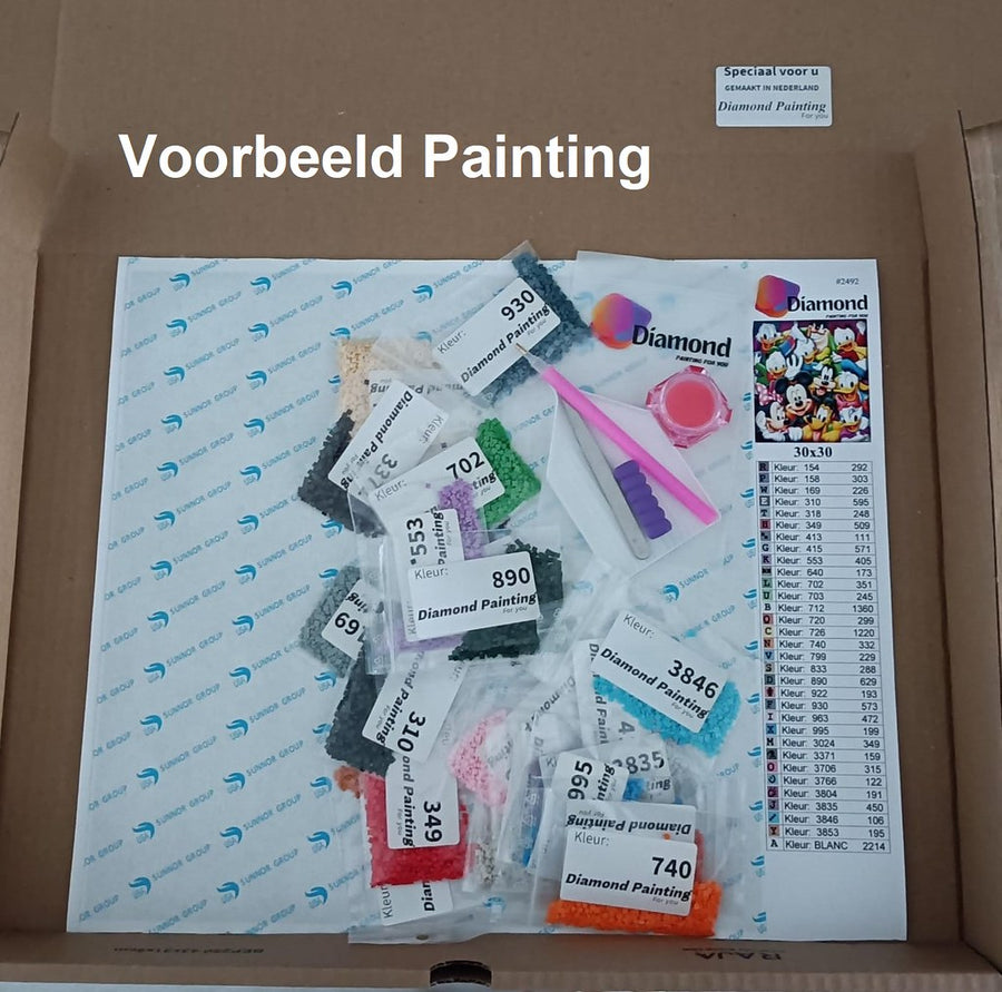 Diamond Painting Koningin van de draken met Vierkante steentjes 25x30cm