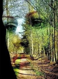 Thumbnail for Diamond Painting Gezicht bos met Ronde steentjes 80x100cm - Beste Kwaliteit