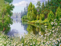 Thumbnail for Diamond Painting Natuurlandschap met Ronde steentjes 100x100 - Beste Kwaliteit