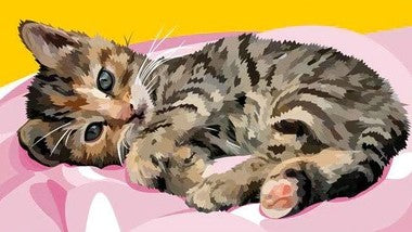 Diamond Painting Lieve Kitten met Ronde steentjes 100x55cm - Beste Kwaliteit