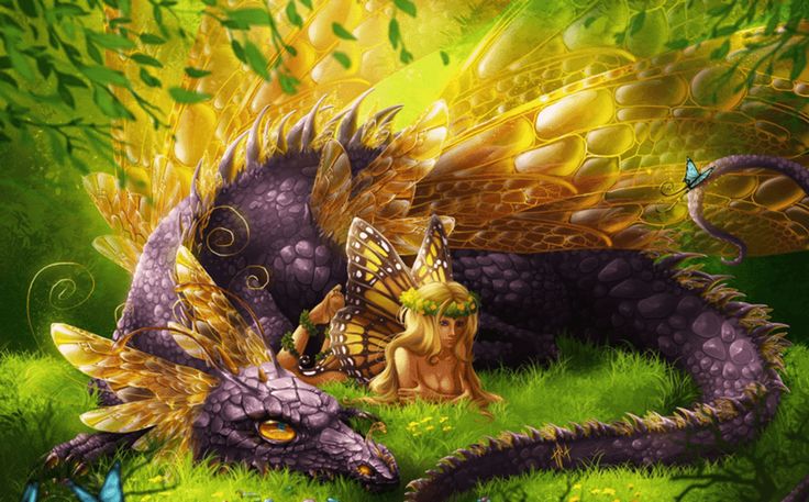 Diamond Painting Draak met gouden vleugels en elfje in het gras met Ronde steentjes 100x55cm - Beste Kwaliteit