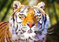 Thumbnail for Diamond Painting Bengaalse Tijger met Ronde steentjes 80x100cm - Beste Kwaliteit