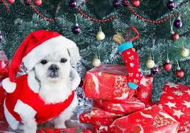 Diamond Painting Hondje met kerstcadeautjes met Ronde steentjes 80x100cm - Beste Kwaliteit
