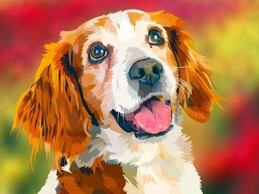 Diamond Painting Hond In Bloemenveld met Ronde steentjes 80x100cm - Beste Kwaliteit
