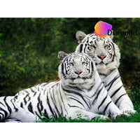 Thumbnail for Witte Tijgers Diamond Painting for you