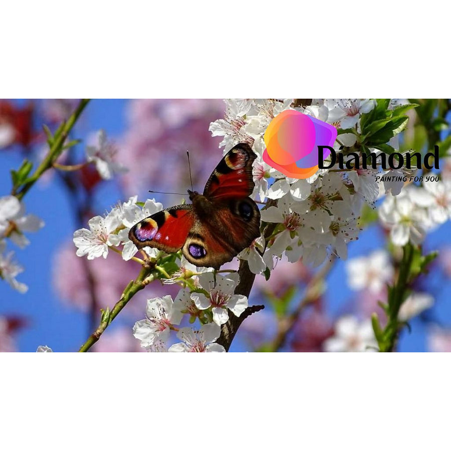 Vlinder met bloemen Diamond Painting for you