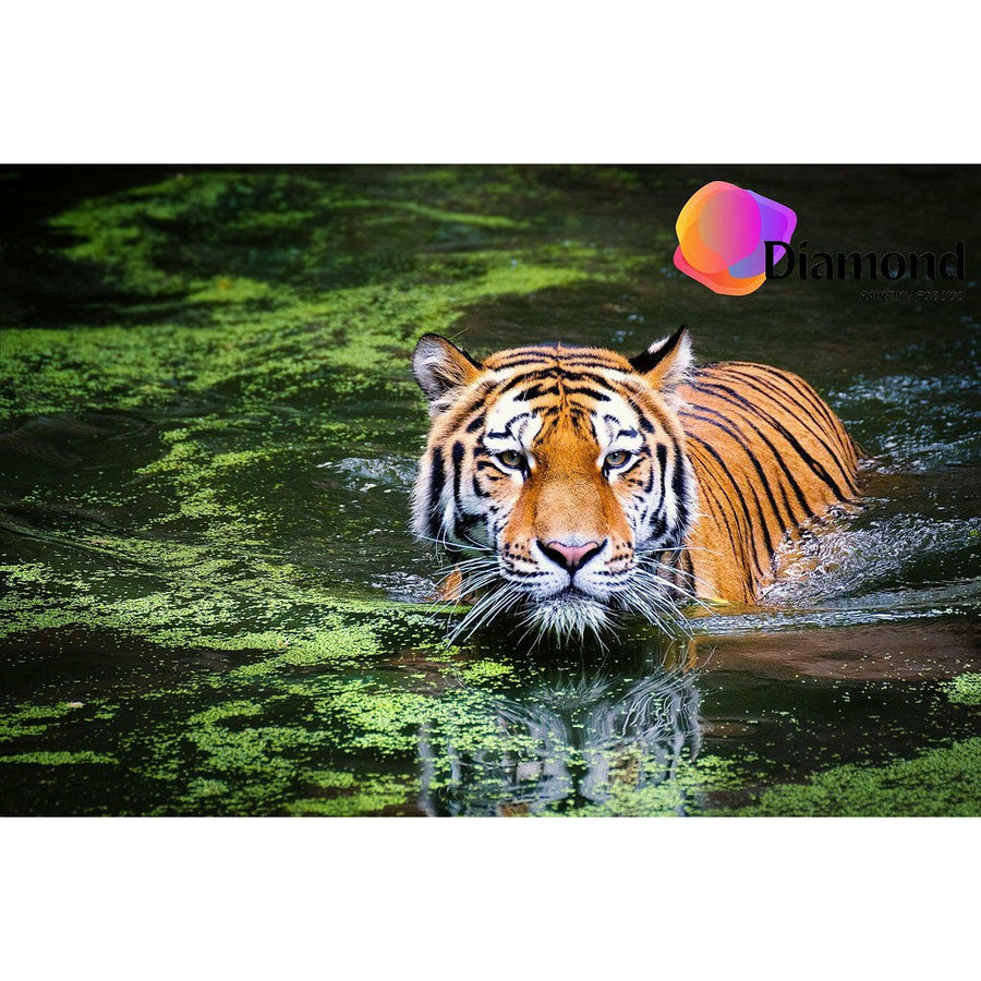 Tijger in het water Diamond Painting for you