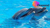 Thumbnail for Twee Dolfijnen Diamond Painting for you