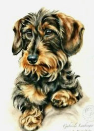 Ruwhaar Teckel Diamond Painting for you