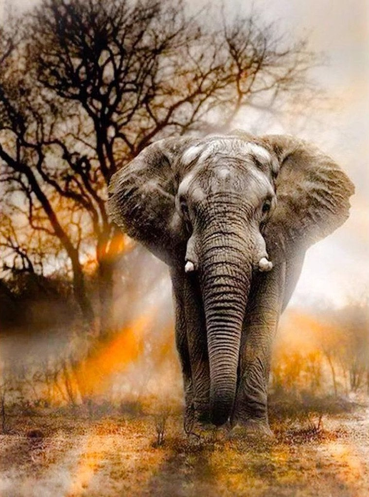 Olifant Diamond Painting for you