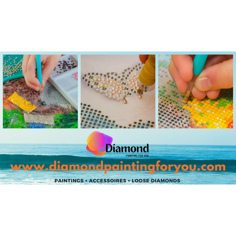 Diamond Painting for you cadeau bon