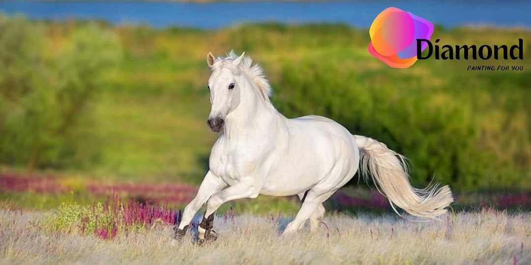 Wit paard diamond painting ontwerp