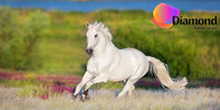 Thumbnail for Wit paard diamond painting ontwerp