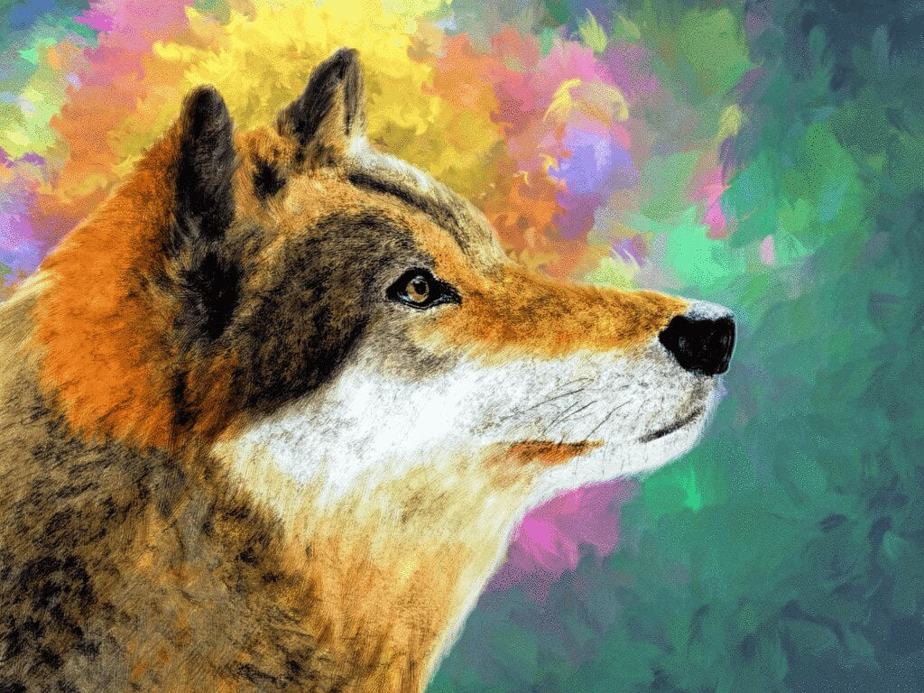 Diamond Painting Bruine wolf met gekleurde achtergrond met Ronde steentjes 80x100cm - Beste Kwaliteit