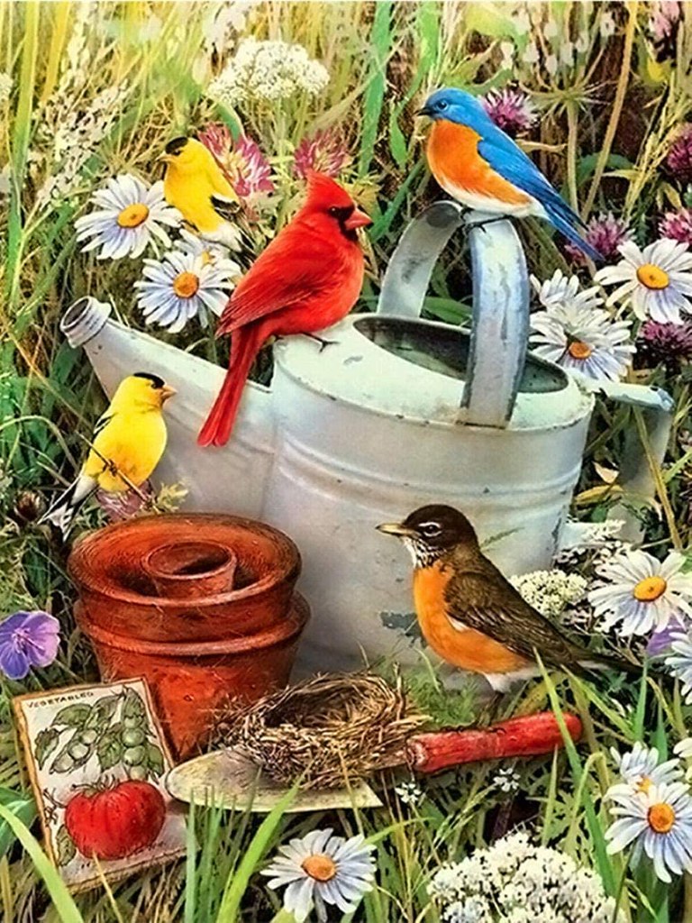 Diamond Painting Verschillende vogels in een tuin met Ronde steentjes 80x100cm - Beste Kwaliteit