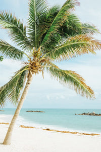 Thumbnail for Diamond Painting Palmboom aan Zee Witte strand met Ronde steentjes 100x70cm - Beste Kwaliteit