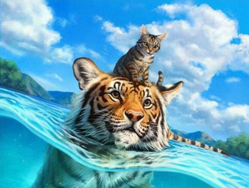 Diamond Painting Tijger met Kat in het water met Ronde steentjes 100x100 - Beste Kwaliteit