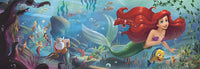 Thumbnail for Diamond Painting De Kleine Zeemeermin Panorama met Ronde steentjes 120x40cm