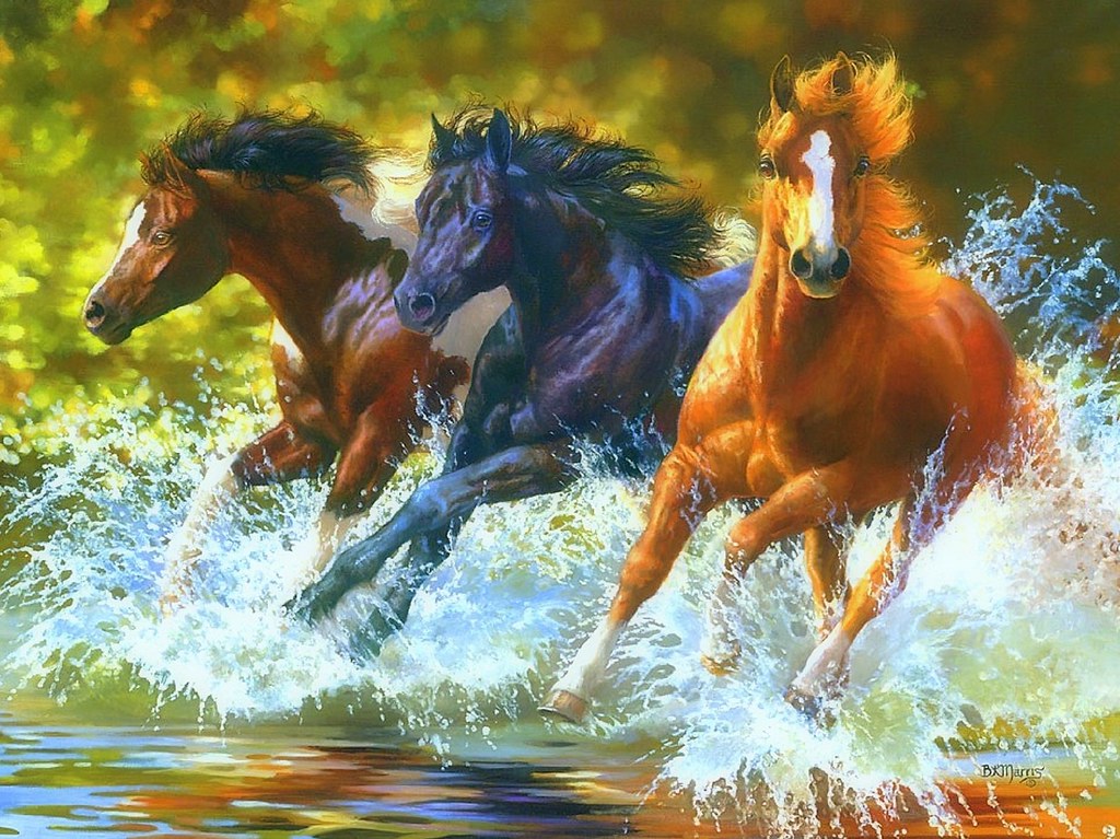 Diamond Painting Paarden in het Water met Ronde steentjes 80x100cm - Beste Kwaliteit