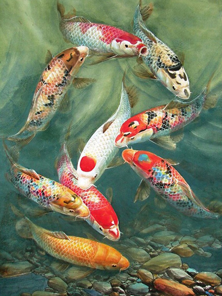 Diamond Painting Koi karpers in het water met Ronde steentjes 100x80cm - Beste Kwaliteit