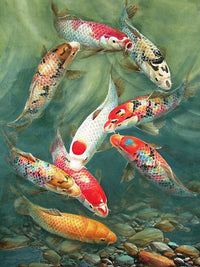 Thumbnail for Diamond Painting Koi karpers in het water met Ronde steentjes 100x80cm - Beste Kwaliteit