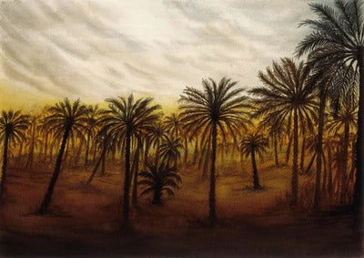 Diamond Painting Palmtuin met Ronde steentjes 80x100cm - Beste Kwaliteit