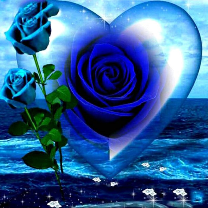 Diamond Painting Blauwe roos met Ronde steentjes 100x100 - Beste Kwaliteit