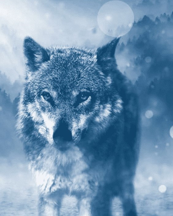 Diamond Painting Wolf in de winter met Ronde steentjes 100x80cm - Beste Kwaliteit