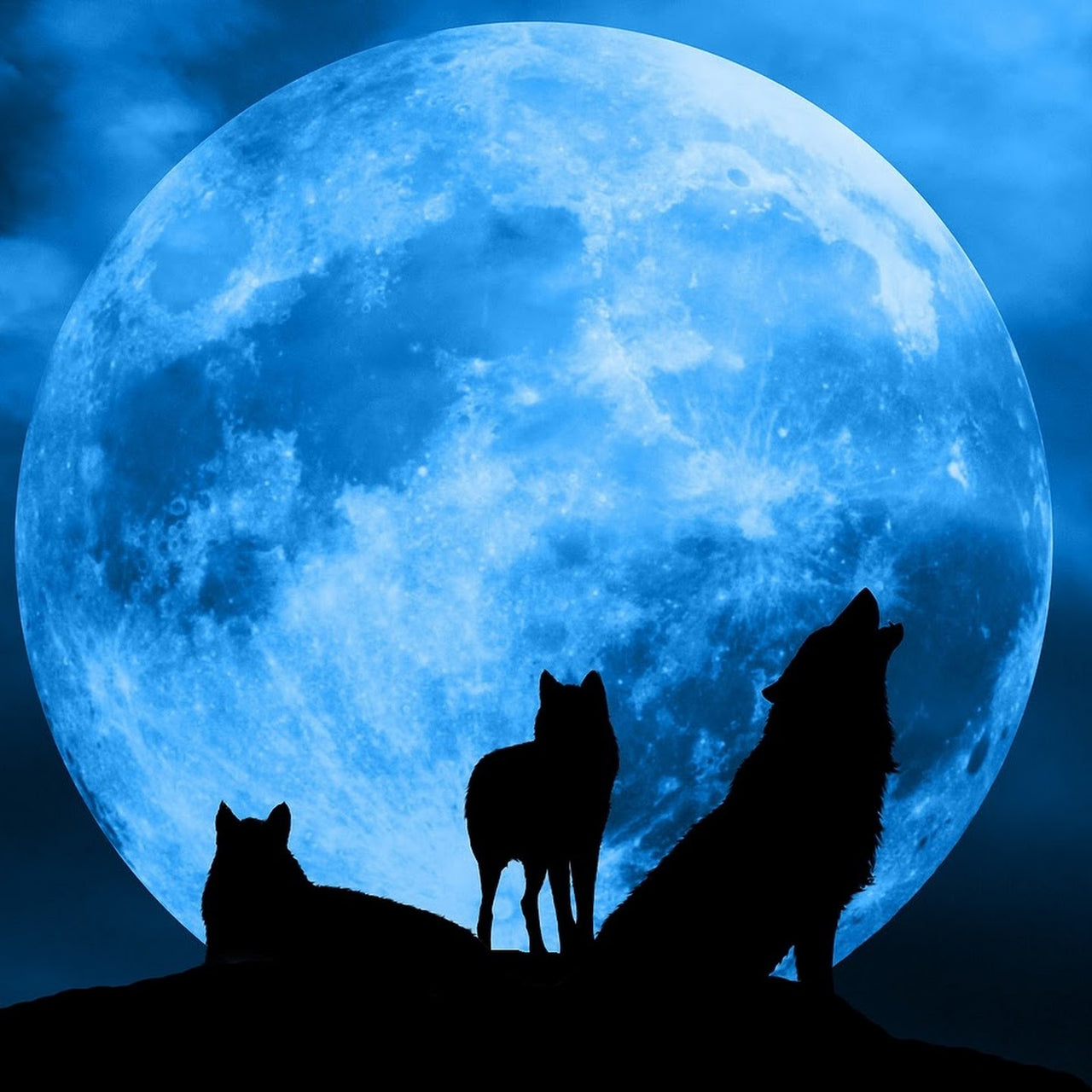 Wolfen bij volle maan diamond painting ontwerp