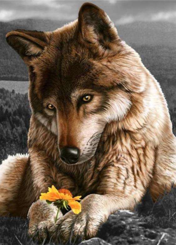 Wolf met een bloem diamond painting ontwerp