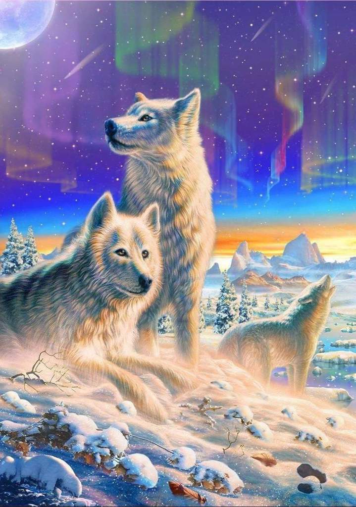 Wolven op Antartica diamond painting ontwerp
