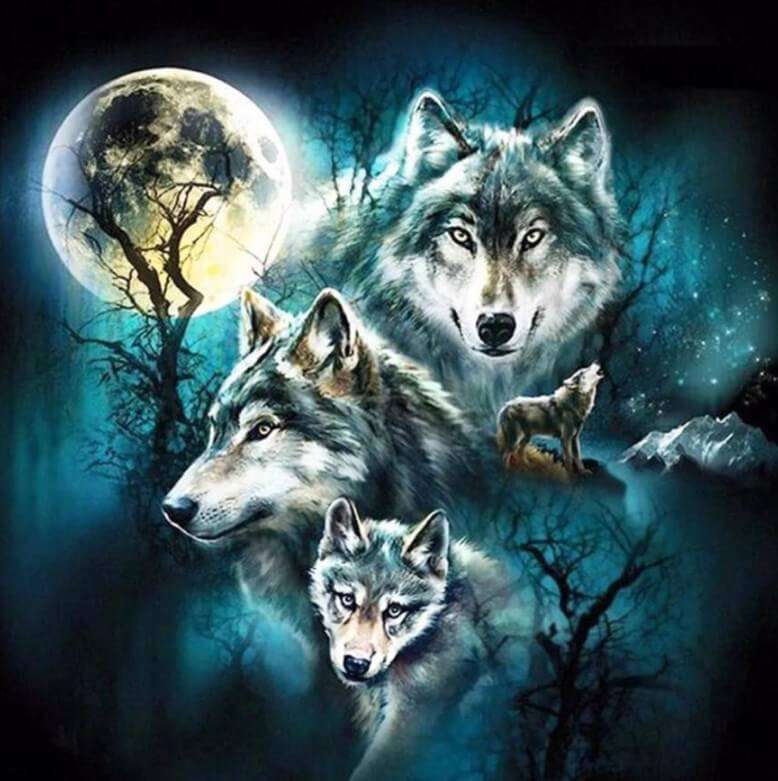 Vier wolven volle maan diamond painting ontwerp