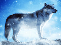 Thumbnail for Diamond Painting Wolf in de sneeuw met Ronde steentjes 80x100cm - Beste Kwaliteit