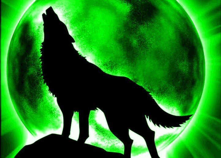 Wolf met groene maan diamond painting ontwerp