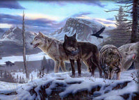 Thumbnail for Diamond Painting Verschillende wolven met Ronde steentjes 70x100cm - Beste Kwaliteit