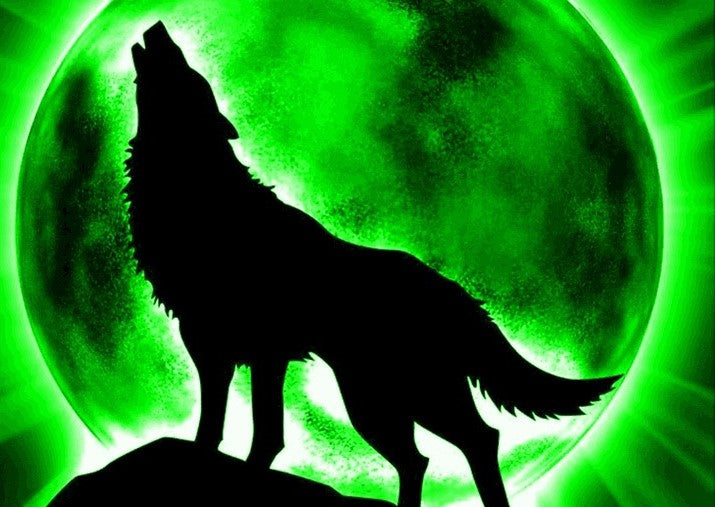 Diamond Painting Wolf met groene maan met Ronde steentjes 70x100cm - Beste Kwaliteit