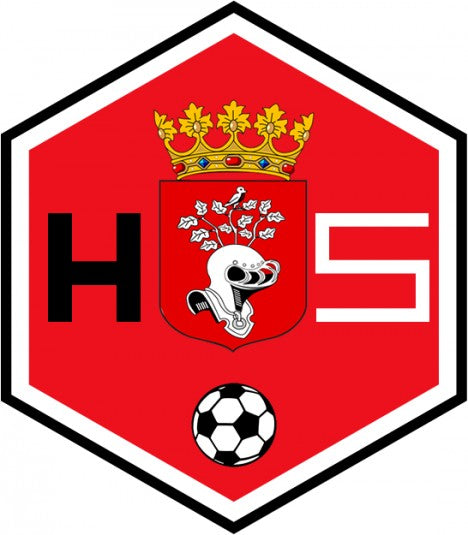 Diamond Painting Helmond Sports logo met Ronde steentjes 100x80cm - Beste Kwaliteit