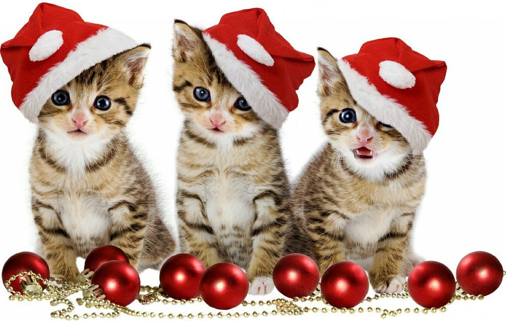 Diamond Painting Kittens met kerstballen en kerstmuts met Ronde steentjes 100x70cm - Beste Kwaliteit