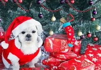 Thumbnail for Diamond Painting Hondje met kerstcadeautjes met Ronde steentjes 80x100cm - Beste Kwaliteit