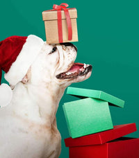Thumbnail for Hond met cadeautjes diamond painting ontwerp
