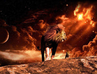 Thumbnail for Leeuw met avondlicht diamond painting ontwerp