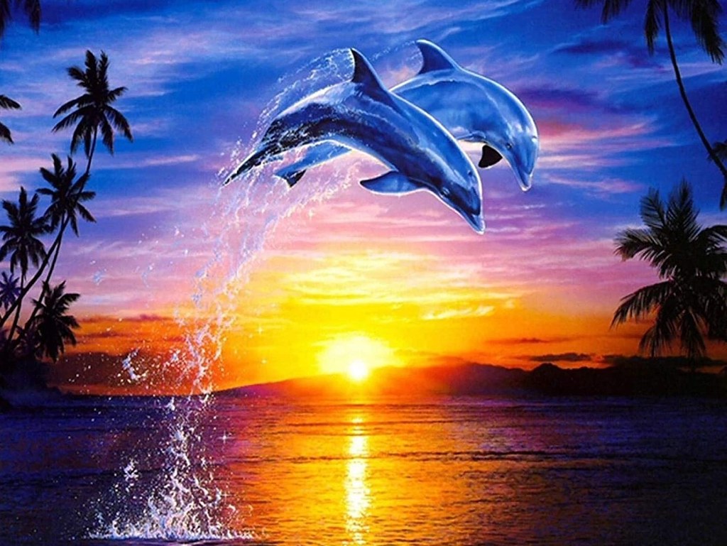 Dolfijnen in zonsondergang Diamond Painting kit | Topkwaliteit \u0026 Snelle  Levering | Bestel Vandaag – Diamond painting for you, image size:1024x769