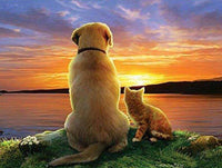 Thumbnail for Diamond Painting Hond en kat zonsondergang met Ronde steentjes 80x100cm - Beste Kwaliteit