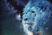 Thumbnail for Leeuw in de sterren diamond painting ontwerp