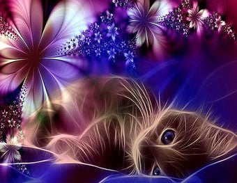 Liggende zwarte kat met bloemen diamond painting ontwerp