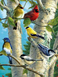 Thumbnail for Diamond Painting Gekleurde vogels in boom met Ronde steentjes 80x100cm - Beste Kwaliteit