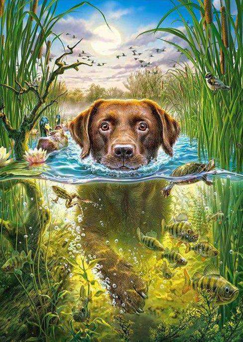 Diamond Painting Hond in water met vissen met Ronde steentjes 80x100cm - Beste Kwaliteit